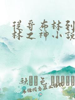 从哥布林到哥布林之神小说