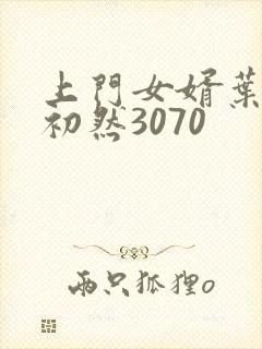 上门女婿叶辰萧初然3070
