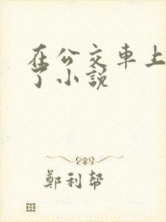 在公交车上被顶了小说