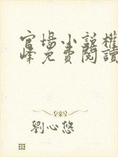 官场小说权力巅峰免费阅读
