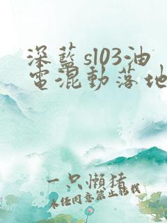 深蓝sl03油电混动落地价