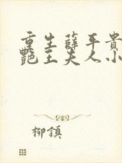 重生薛平贵之猎艳王夫人小说