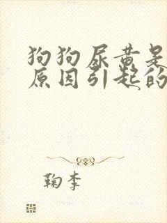 狗狗尿黄是什么原因引起的