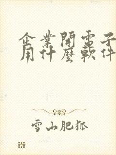 企业开电子发票用什么软件