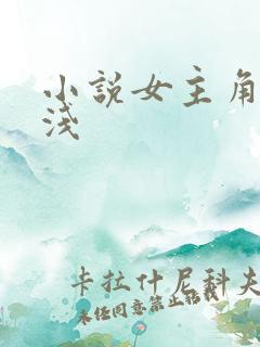 小说女主角叫林浅