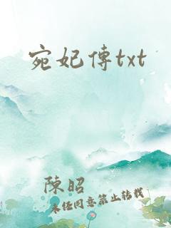 宛妃传txt