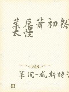 叶辰萧初然更新太慢