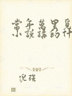 当年万里觅封侯小说讲的什么