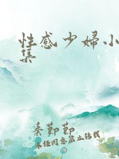 性感少妇小说合集