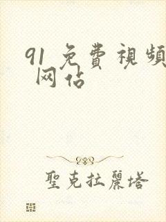 91 免费视频 网站