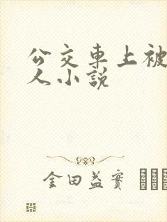 公交车上被陌生人小说
