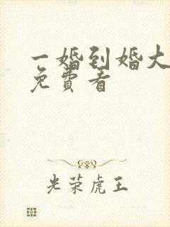 一婚到婚大结局免费看