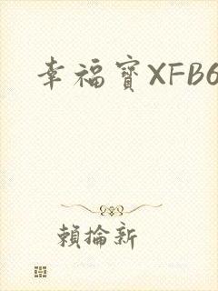 幸福宝XFB6