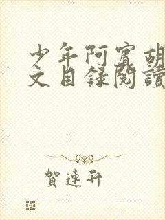 少年阿宾胡太全文目录阅读在线