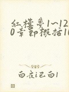 红楼梦1~120章节概括100字