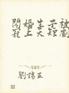 闪婚生子被老公宠上天短剧免费观看