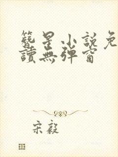 簪星小说免费阅读无弹窗