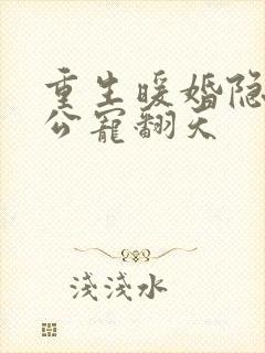 重生暖婚隐婚老公宠翻天