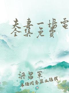 夫妻一场电视剧全集免费