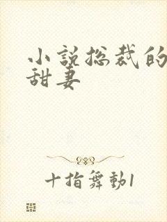 小说总裁的私宠甜妻
