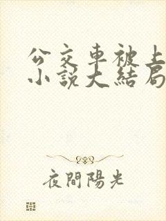 公交车被上高潮小说大结局
