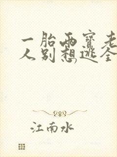 一胎两宝老婆大人别想逃全文免费阅读全文