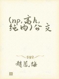(np,高h,纯肉)公交