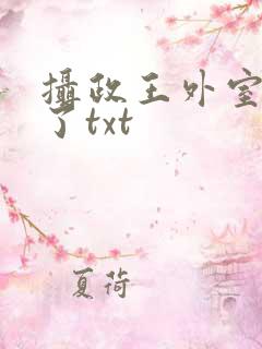 摄政王外室重生了txt