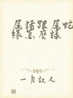 属猪跟属蛇的姻缘怎么样