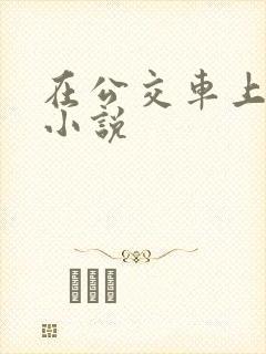 在公交车上被 小说