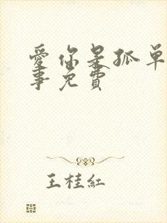 爱你是孤单的心事免费