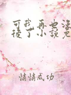 可我再也没有以后了小说免费阅读