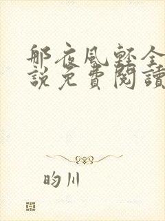 那夜风轻全部小说免费阅读无弹窗