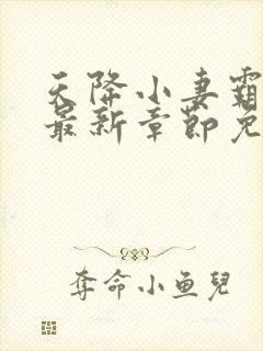 天降小妻霸道宠最新章节免费阅读