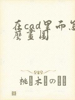 在cad里面怎么画图