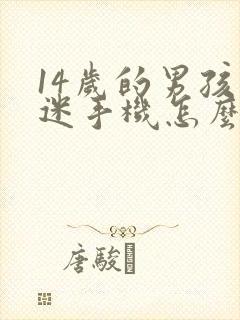 14岁的男孩沉迷手机怎么办