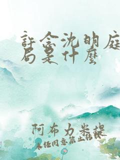 许念沈明庭大结局是什么