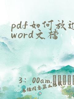 pdf如何放进word文档