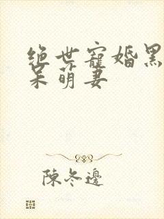 绝世宠婚黑帝的呆萌妻