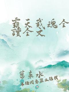 霸天武魂全文阅读全文