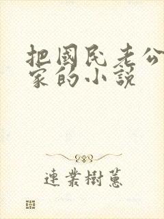 把国民老公带回家的小说