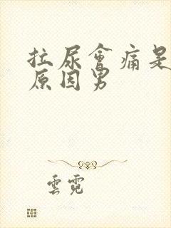 拉尿会痛是什么原因男