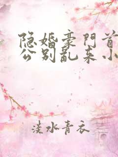 隐婚豪门首席老公别乱来小说