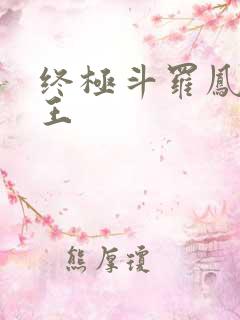 终极斗罗凤凰神王
