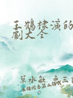 王鹤棣演的电视剧大全
