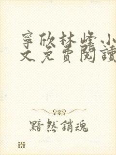 宁欣林峰小说全文免费阅读无弹窗