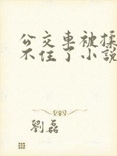 公交车被揉到忍不住了小说