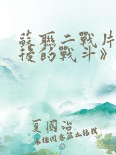 苏联二战片《最后的战斗》