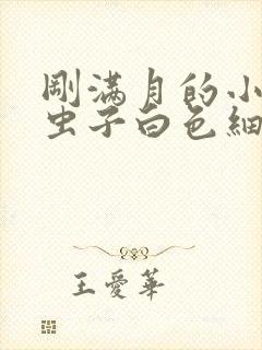 刚满月的小狗拉虫子白色细长的怎么办