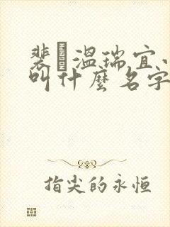裴玠温瑞宜小说叫什么名字